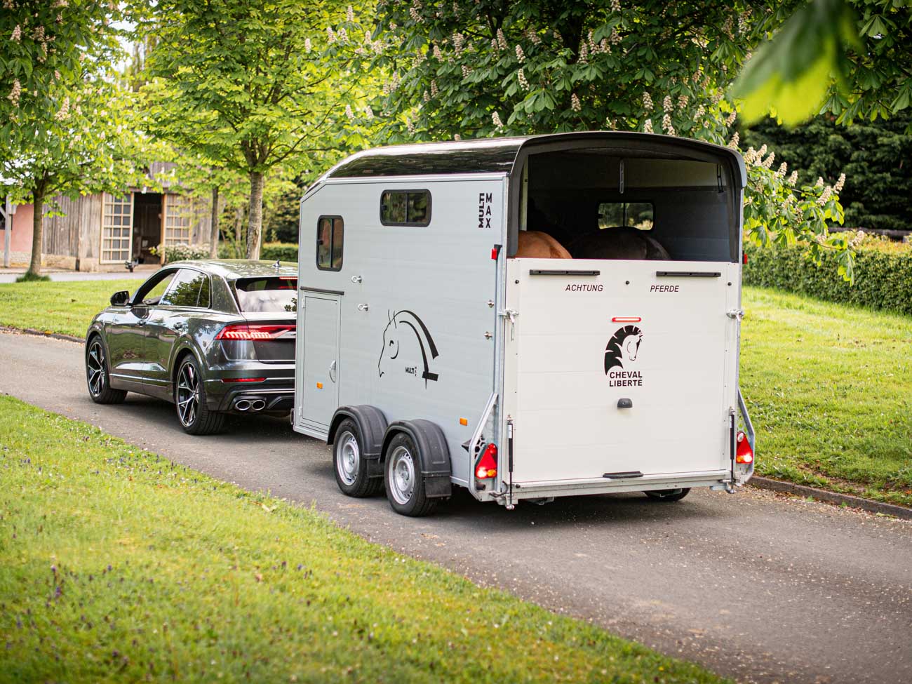 Remolque para 2 caballos Multimax 11 Remolque para 2 caballos Multimax - Imagen 10