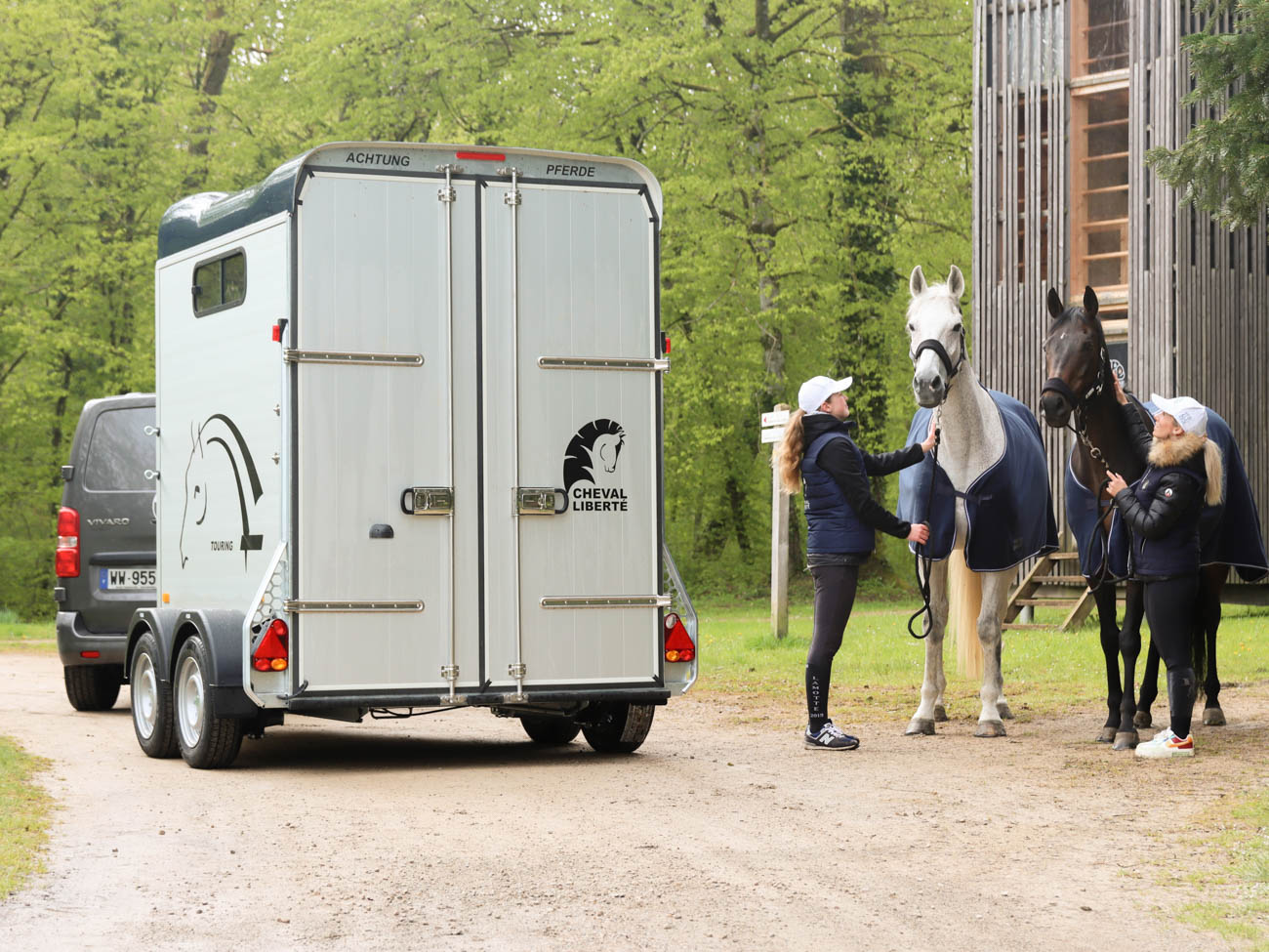 Remolque para 2 caballos Touring Jumping 4 Remolque para 2 caballos Touring Jumping - Imagen 3